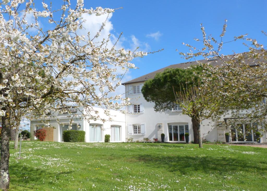 Logis Hotel Restaurant Des Chateaux Azay-le-Rideau Dış mekan fotoğraf